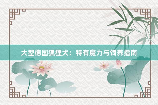 大型德国狐狸犬：特有魔力与饲养指南